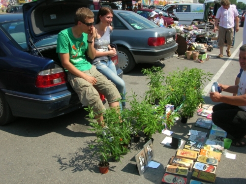 Image Image